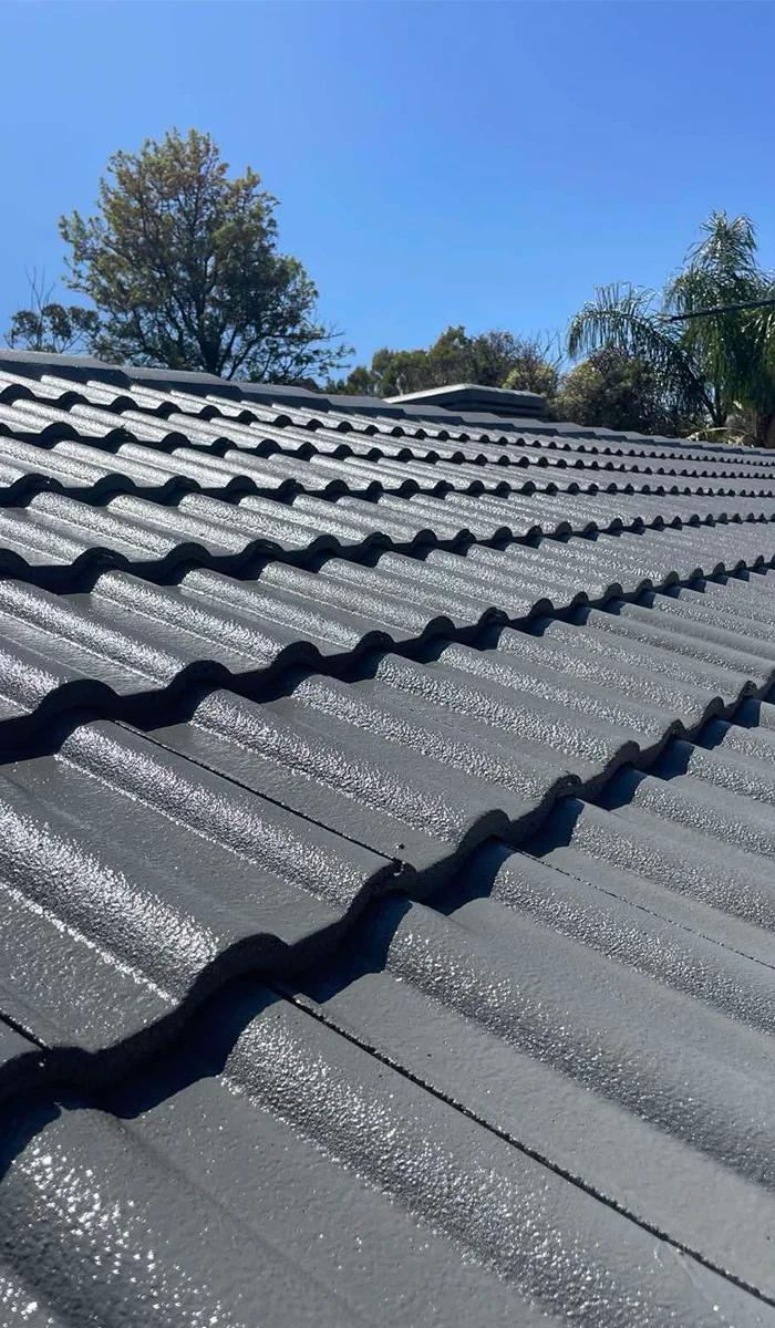 Roof Revival